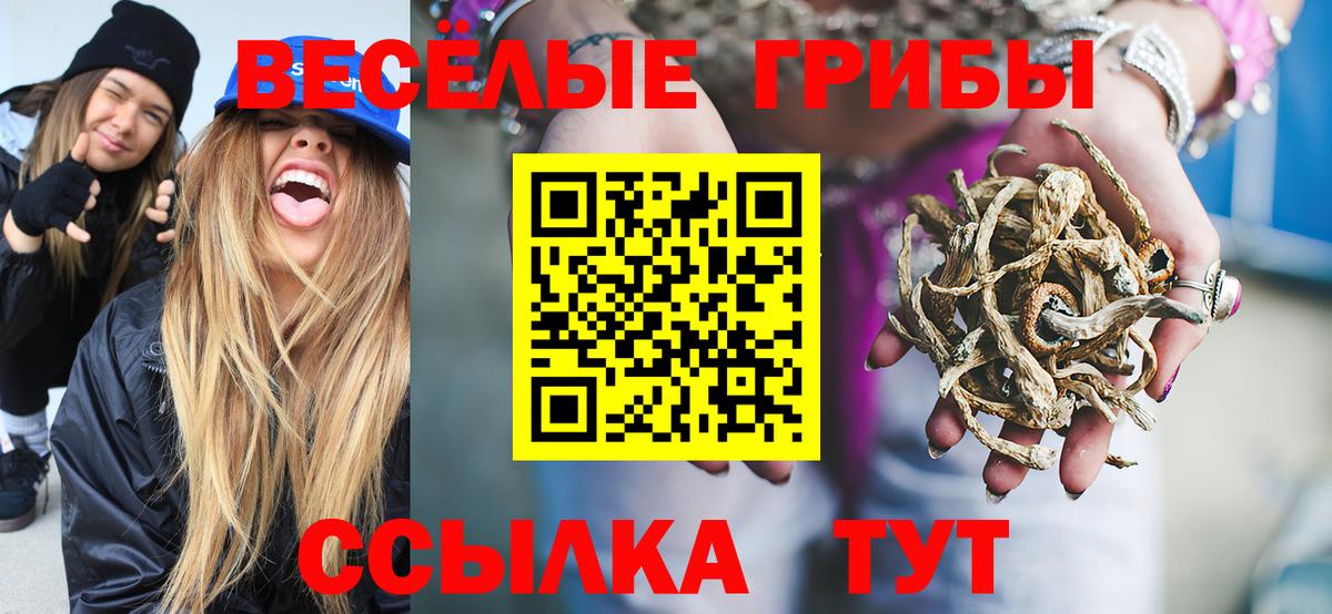 Псилоцибиновые грибы мицелий  Вход с VPN  Сафоново 