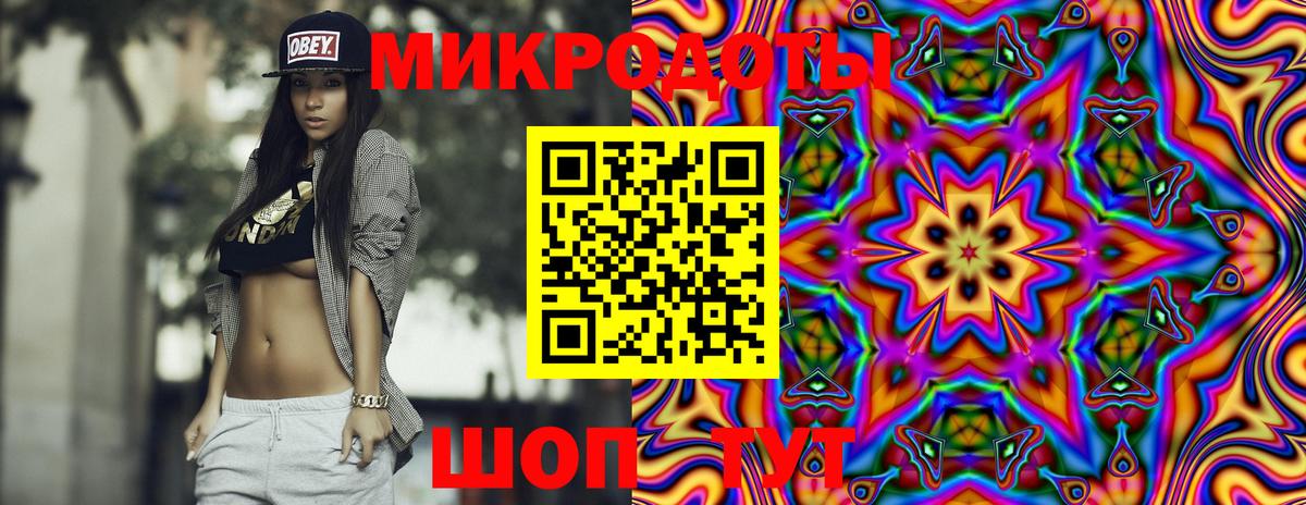 Псилоцибиновые грибы Cubensis Сафоново